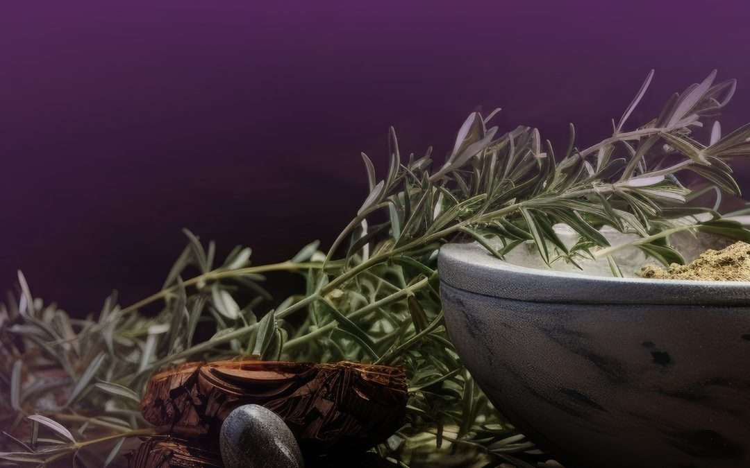 Prepare – Lent