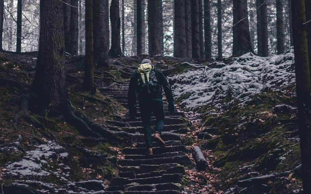 Stepping Through Lent