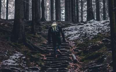 Stepping Through Lent