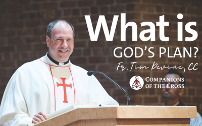What is God’s Plan for Your Life?
