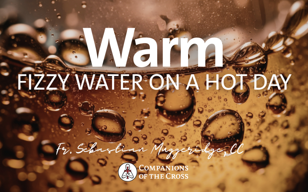Warm Fizzy Water on a Hot Day